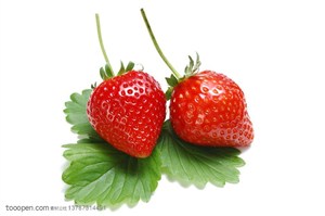 新鲜水果-放在一片叶子上的两颗新鲜草莓