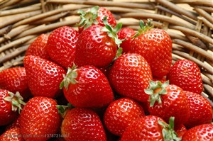 新鲜水果-在柳条编织篮里堆放着新鲜的草莓特写