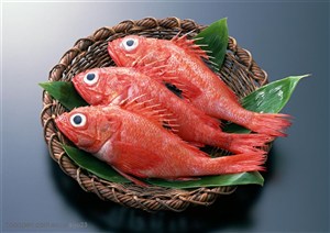 新鲜鱼类-盘子中的三条红鱼