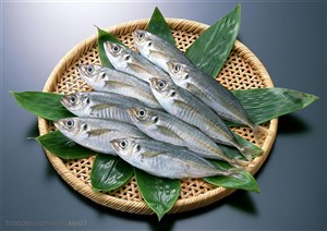新鲜鱼类-盆子中的鲜鱼