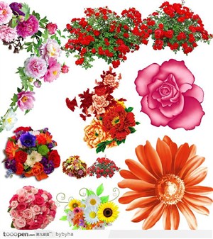 花束 大集合