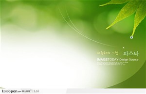 韩式绿色枫叶水珠背景 PSD素材