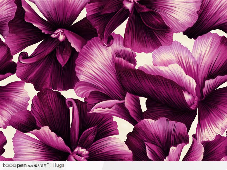 花纹纹样-紫瓣花