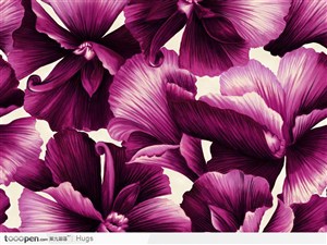 花纹纹样-紫瓣花