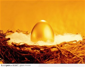 鸟巢里的金蛋