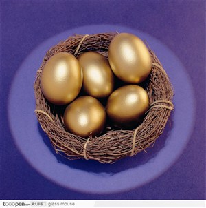 鸟巢内的金蛋