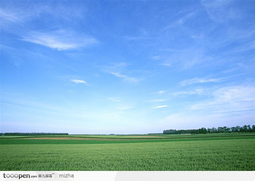 一望无际的原野