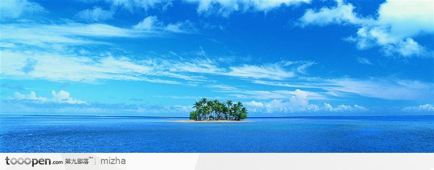 蓝天碧海中的椰树林