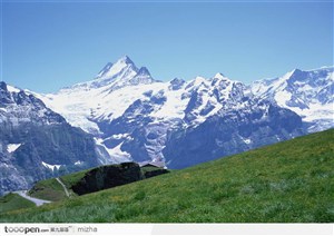 雪山下的草地