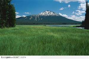 雪山下的草地