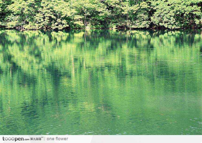 平静湖水中翠绿的倒影