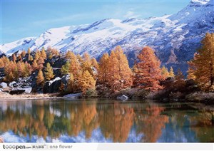 深秋时节的湖旁景色