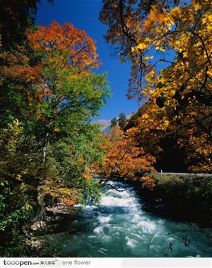 秋天的溪水风景