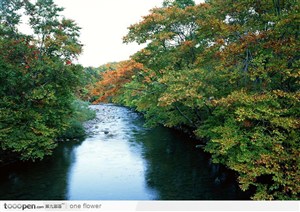 树木间平静的河水