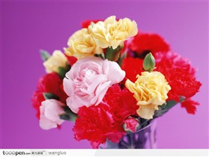 三种不同的康乃馨组成的花束