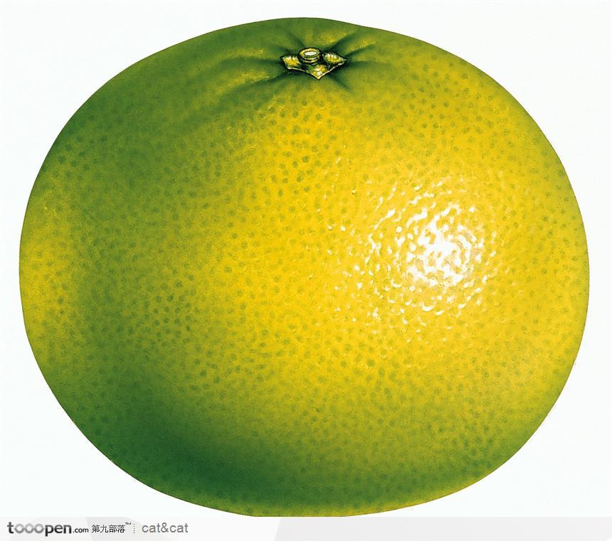 绿色橘子