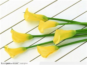 白色桌面上的黄色花