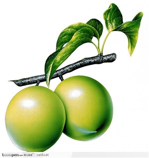 绿色油桃