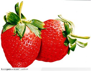 两棵草莓