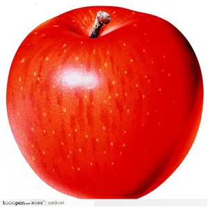 红色富士苹果2