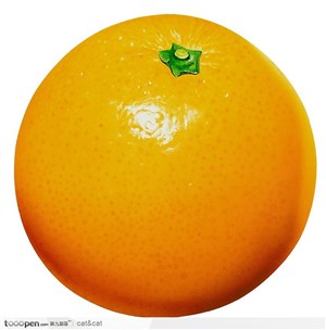 成熟的橙子1
