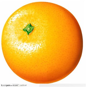 成熟的橙子4