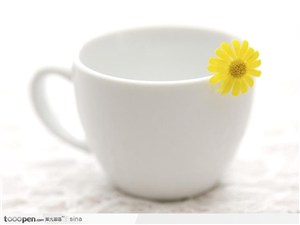白色的咖啡杯和一朵菊花