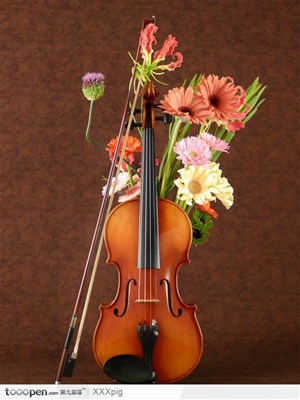 花旁的小提琴乐器图片