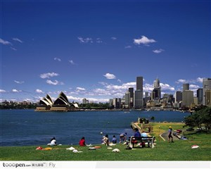 悉尼 城市风光 休闲 草坪