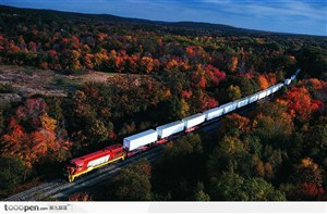 火车 集装箱 红树林