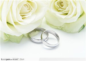 白玫瑰与一对婚戒