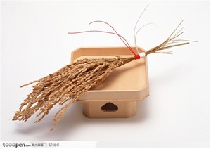 木盒子与稻穗