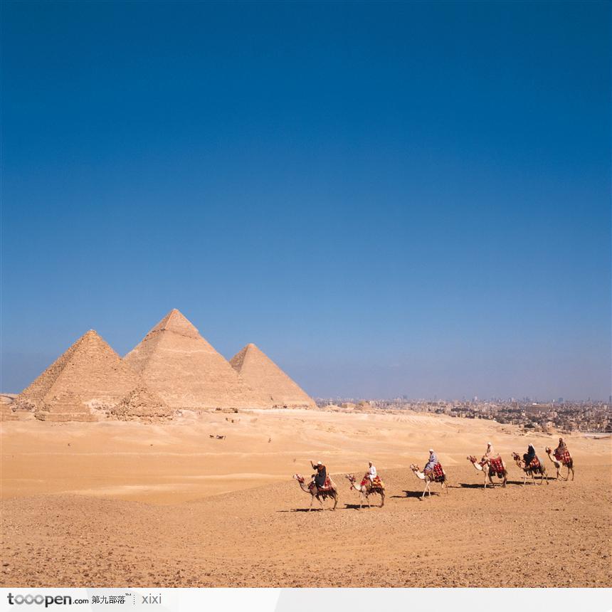金字塔 骑骆驼的人群
