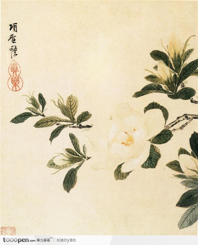 山水画—茶花