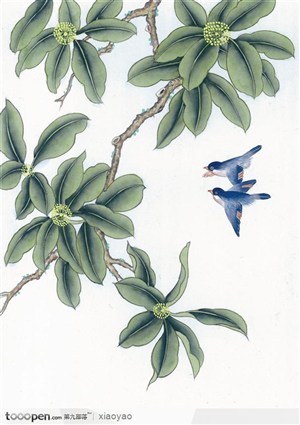 工笔画—翠鸟