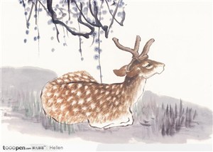 水墨画—鹿