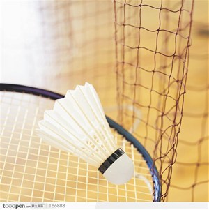 网边的球拍和羽毛球