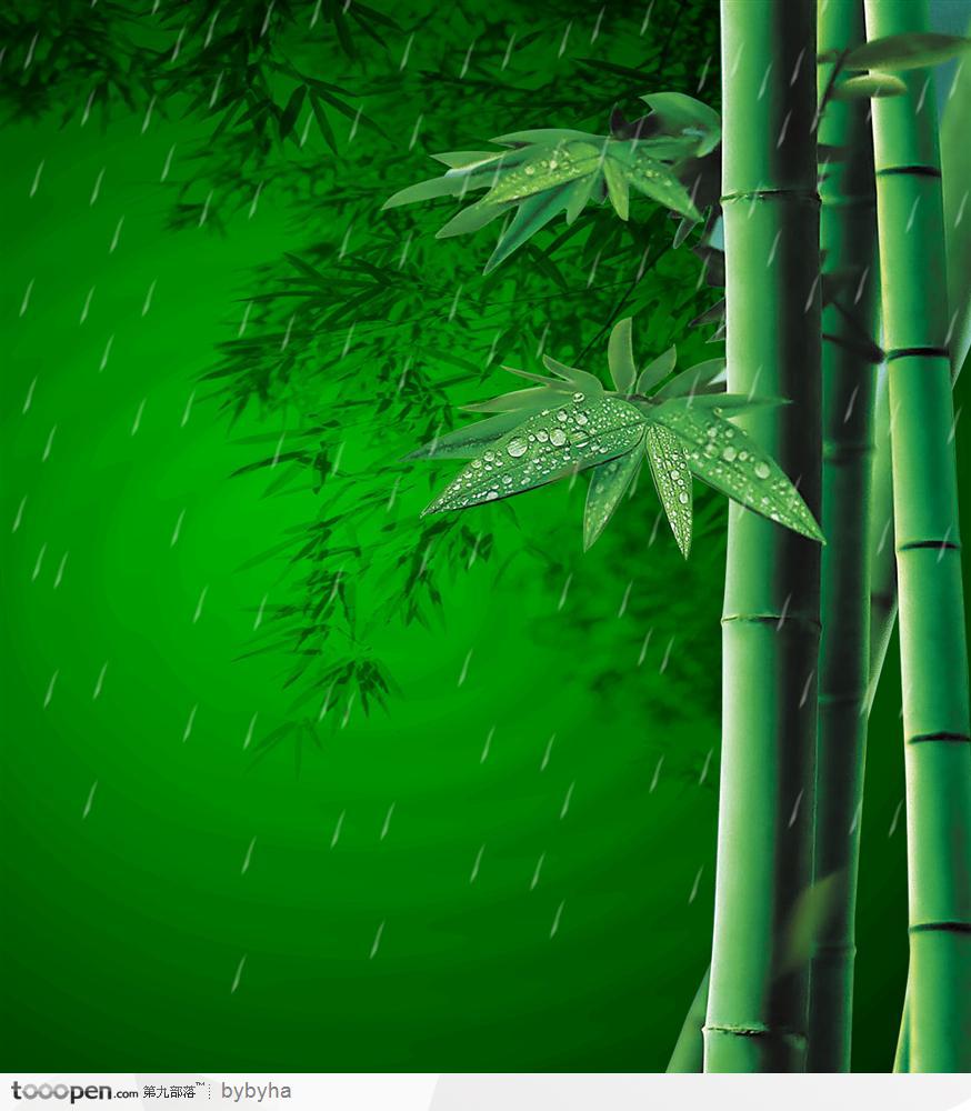 在雨中的翠竹竹子竹竿