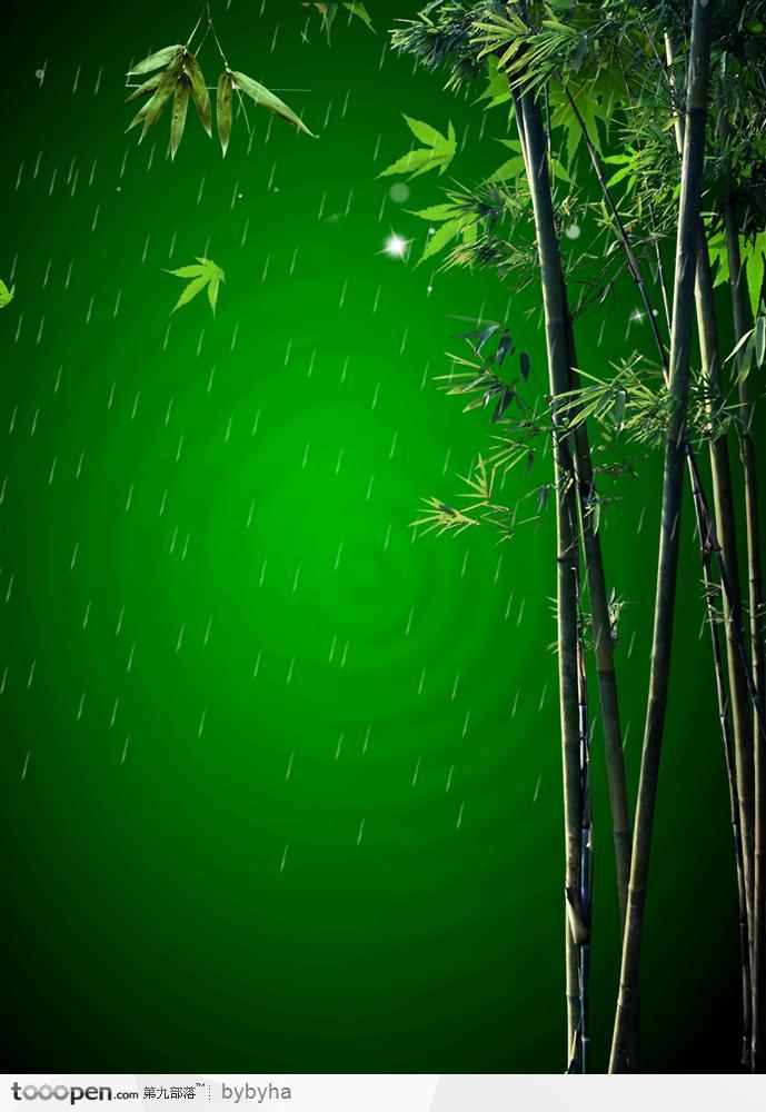林中翠绿的竹子闪闪的星星