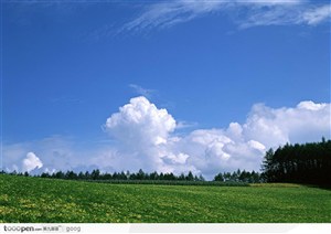蓝天白云与草地