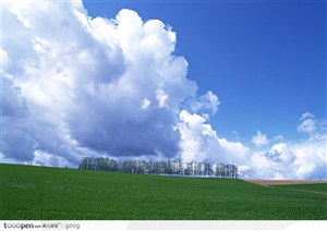 蓝天白云下的草地与树木