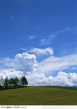 蓝天云团下的绿地