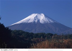 蓝天下的富士山与树林