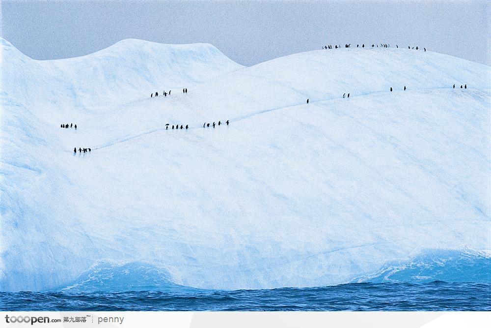 冰山上成群的企鹅