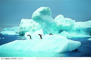 冰山边玩耍的企鹅