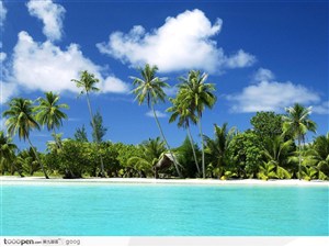 蓝天下的大海沙滩与椰树林