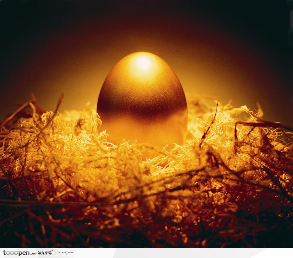 鸟巢里的黄金鸡蛋近景大图