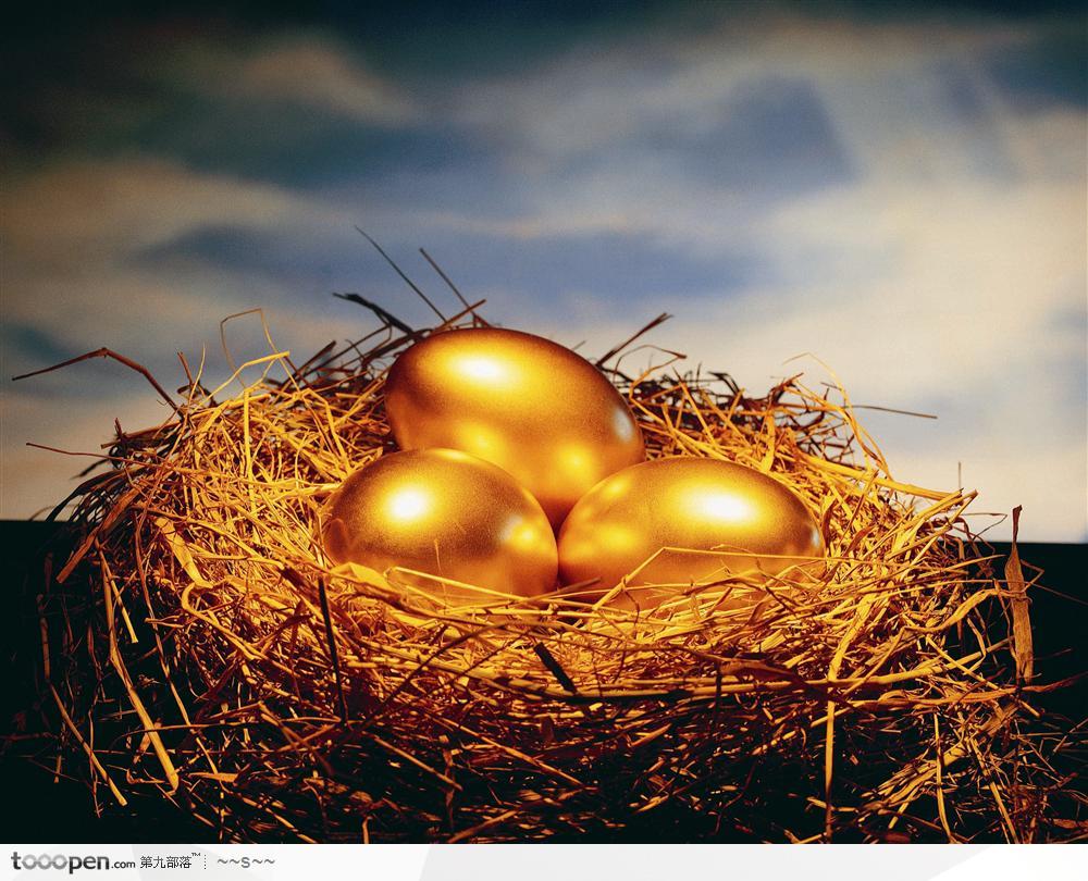 鸟巢中的黄金鸡蛋