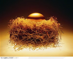 鸟巢里的黄金鸡蛋背景大图