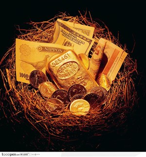 鸟巢里的金块、金币与纸币